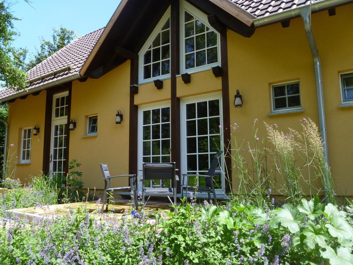 Froschkoenig - Und 03096 Burg Spreewald *